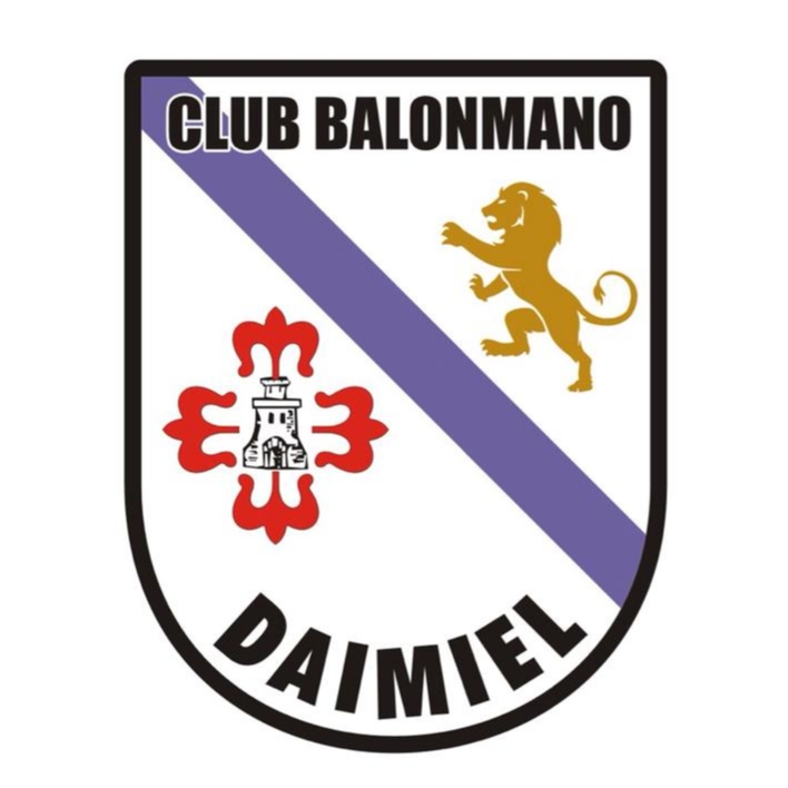 CD BALONMANO DAIMIEL