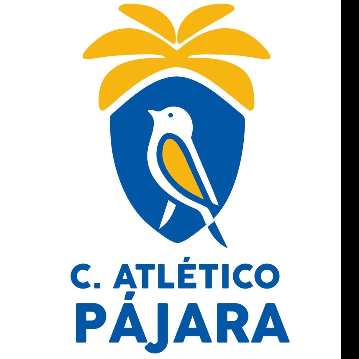 CLUB ATLETICO PAJARA